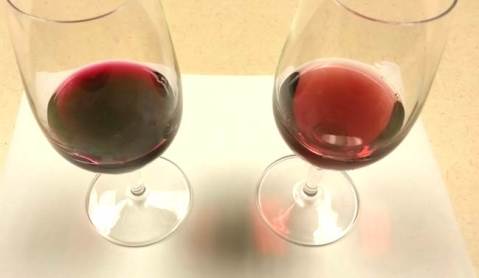 Figure 1: Glass on left contains Chambourcin with deep color intensity while the glass on the right is Chambourcin wine with medium color intensity. Vintage 2013.